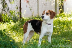 12592599_1742561455975610_5985742030694658824_n