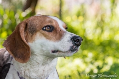 12932660_1742561549308934_4937955143550328533_n