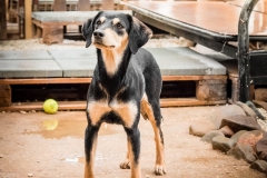 12936591_1747078178857271_3827211662784641354_n