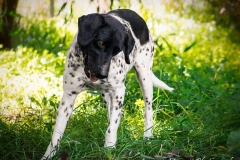 12494766_1742706679294421_7481900075071351195_n