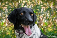 12809712_1742706645961091_7465833255077241302_n