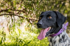 12928253_1742706612627761_2917592288624345735_n