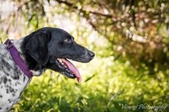 600431_1742706675961088_7934143968314101572_n