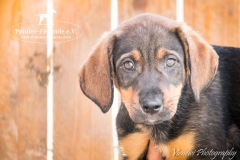 13240557_1764183863813369_7732599644854064894_n