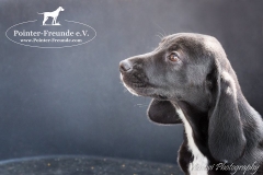 13096144_1754663781432044_7654179027938802047_n