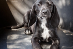 13103535_1754663844765371_8998641046523492247_n