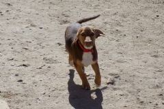 12717951_1741699286061827_644296534946095372_n