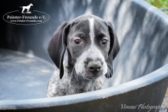 13133135_1757202894511466_7991821630872606194_n