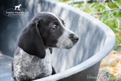 13151796_1757202917844797_9087946748841588427_n