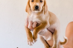 12994576_1749708305260925_2748885580114559007_n