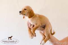 13006550_1749708341927588_4146885812456375008_n