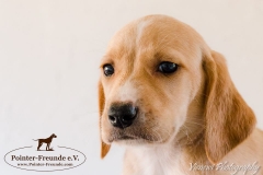 13006743_1749708331927589_8228595732934829286_n