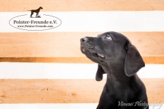 13233151_1766463070252115_8283359129220710891_n