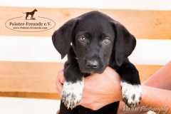 13267840_1766463076918781_2522888363384132967_n