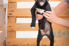 13239242_1766443030254119_6212886078116833331_n