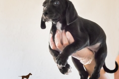 13076943_1755366411361781_3514562049380360374_n