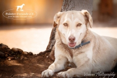 13532781_1781885392043216_9091495355838066422_n