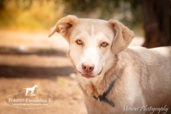 13533252_1781885385376550_8437390670656929775_n