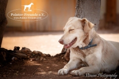 13537764_1781885395376549_7603262302755616371_n