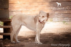 13557777_1781885422043213_3970722035245323190_n