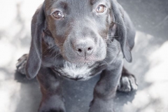 12512251_1749527075279048_1572754163474094680_n