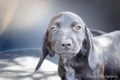 12961627_1749527038612385_1492688981563748226_n