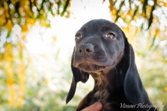 13012792_1749527028612386_6474999543783330075_n