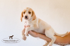 13094380_1755432718021817_5904839654668936666_n