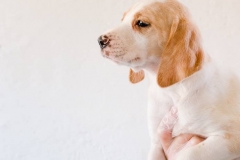 13095788_1755432771355145_241796407957605693_n