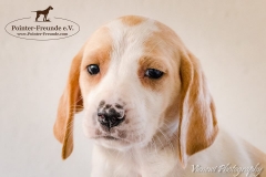 13102833_1755432754688480_941824114068182511_n