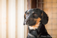 12417535_1747822688782820_5969222939643620717_n