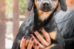 12938189_1747822735449482_5658026706800282655_n