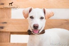 13466007_1777490315816057_6402879586761412868_n