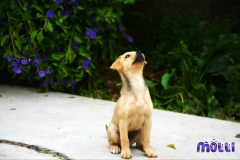 13001169_1751405101757912_8360089838191776848_n