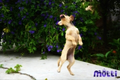 13006470_1751405065091249_28928166876662582_n