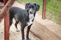 10403556_1747333115498444_536993244432607459_n