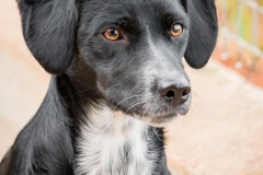 8363_1747333122165110_217835515540473012_n