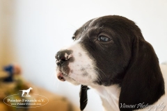 12986919_1752445414987214_1994416042475807308_n