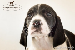 13006688_1752445368320552_5352737287913148198_n