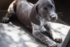 13055345_1751974278367661_1081329777546947031_n