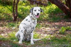 12961670_1748837208681368_5995690376910170364_n