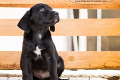 13227115_1766380920260330_8557321379062679710_n