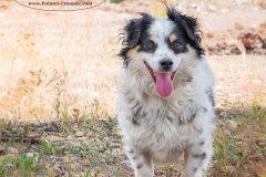 13177581_1761886387376450_3816263627417130143_n