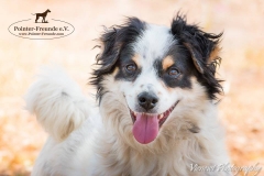 13220960_1761886367376452_269259906266870788_n