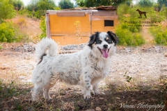 13239212_1761886420709780_1527492095715782641_n