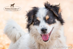 13241421_1761886384043117_8090729723333810125_n