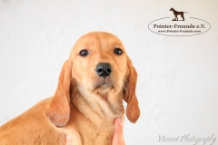 13174022_1760705740827848_3933938464542628766_n