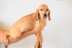 13174214_1760705750827847_1383597755715044375_n