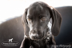 12718032_1751295811768841_1919593928661285304_n