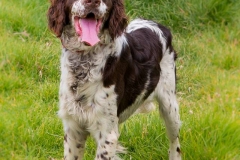 13432349_1776772072554548_1276579793592246893_n